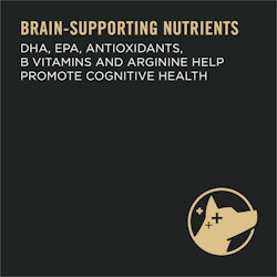 Brain Supporting Nutrients