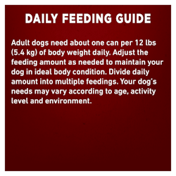 Daily Feeding Guide