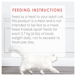 Feeding Recommendations