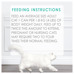 Feeding Recommendations