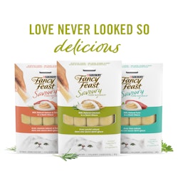 Love never look so delicious - family shot of savoury purees