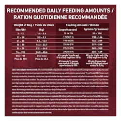 Daily Feeding Guide