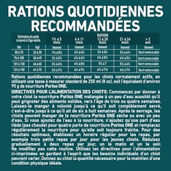 Rations Quotidiennes Recommandées