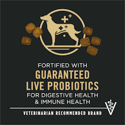 Live Probiotics