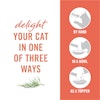 Delight your cat in one of three ways - by hand, in a bowl or as a topper