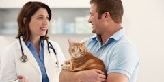 man holding his cat next to a vet