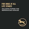 For dogs at all life stages