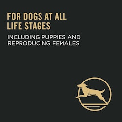 For dogs at all life stages