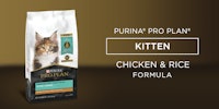 Purina Pro Plan Kitten Chicken & Rice Formula