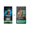 Purina Pro Plan Chiot Formule Petites Races Poulet et Riz Nourriture Sèche pour Chiens