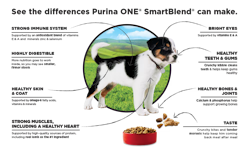 See the differences Purina ONE SmartBlend can make