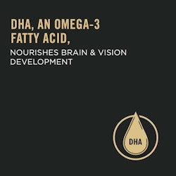 DHA, an omega-3 fatty acid