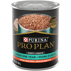 Pro Planᴹᴰ Chiot Entrée de Poulet et Riz Classique Nourriture Humide pour Chiens