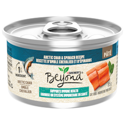 Beyond® Pâté Arctic Char & Spinach Recipe Cat Food