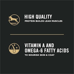 High quality protein, vitamin A and omega-6 fatty acids