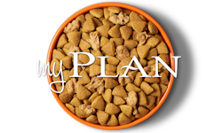 My Plan Dog Bowl