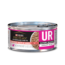 Formule féline en boîte UR Savory Selects Urinary🅫 St/Ox🅫 recette de saumon en sauce