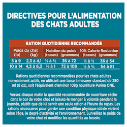 Directives Pour L'alimentation des chats adultes