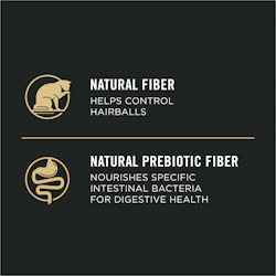 Natural Prebiotic Fibre