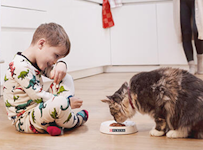 little boy watching cat eat kibble