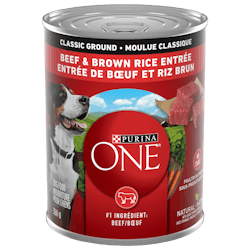 Purina ONEᴹᴰ Moulue Classique Entrée de Boeuf et Riz Brun Nourriture pour Chiens