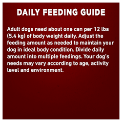 Daily Feeding Guide