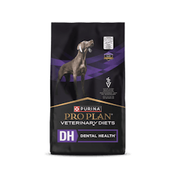 Formule canine sèche DH Dental Health🅫