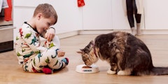 Boy in pyjamas on floor watching cat eat from bowl