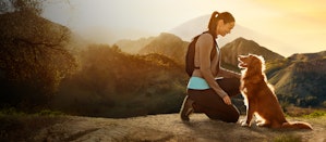 Une femme et un chien dans les montagnes