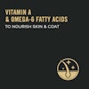 Vitamin A & omega-6 fatty acids