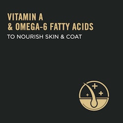 Vitamin A & omega-6 fatty acids