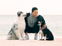 A woman with two dogs on a beach