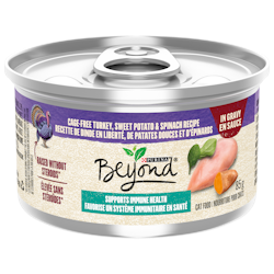 Beyond® Cage-Free Turkey, Sweet Potato & Spinach Recipe in Gravy Cat Food