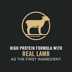 Real lamb as the first ingredient