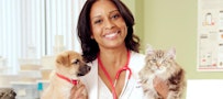 Vet expert with puppy and kitten