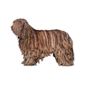 Bergamasco dog