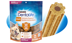 dentalife plus