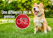 Une différence dès le jour 1