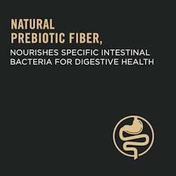 Natural prebiotic fiber