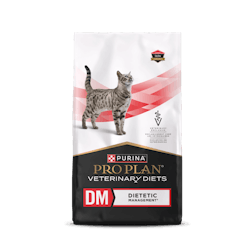 DM Dietetic Management® Dry Feline Formula