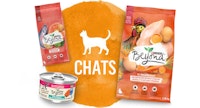 beyond produits pour chats