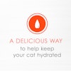 A delicious way to help keep your cat hydrated