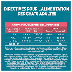 Directives Pour L'alimentation des Chats Adultes