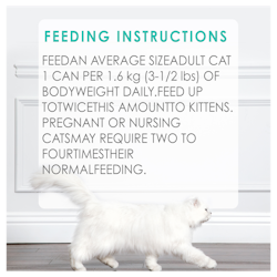 Feeding Recommendations