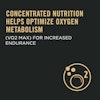 Concentrated nutrition helps optimize oxygen metabolism