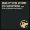 Brain Supporting Nutrients