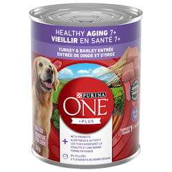  Purina ONEᴹᴰ Plus+ Vieillir en Santé 7+ Moulue Classique Entrée de Dinde et d'Orge Nourriture pour Chiens