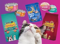 cat putting its paw to friskies products