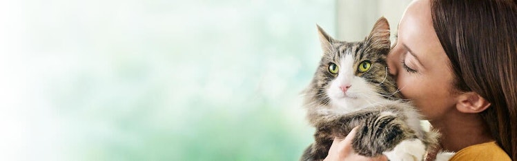 liveclear cat snuggling with a woman