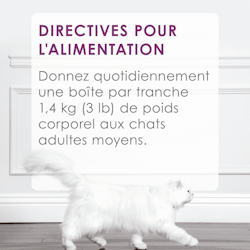 Directives Pour L'alimentation